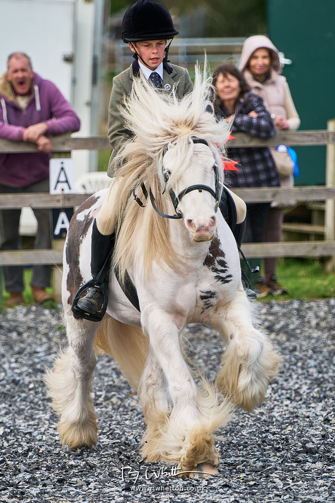 104-EDRC-Winter-Woollies-Ridden-R2-Champion.jpg