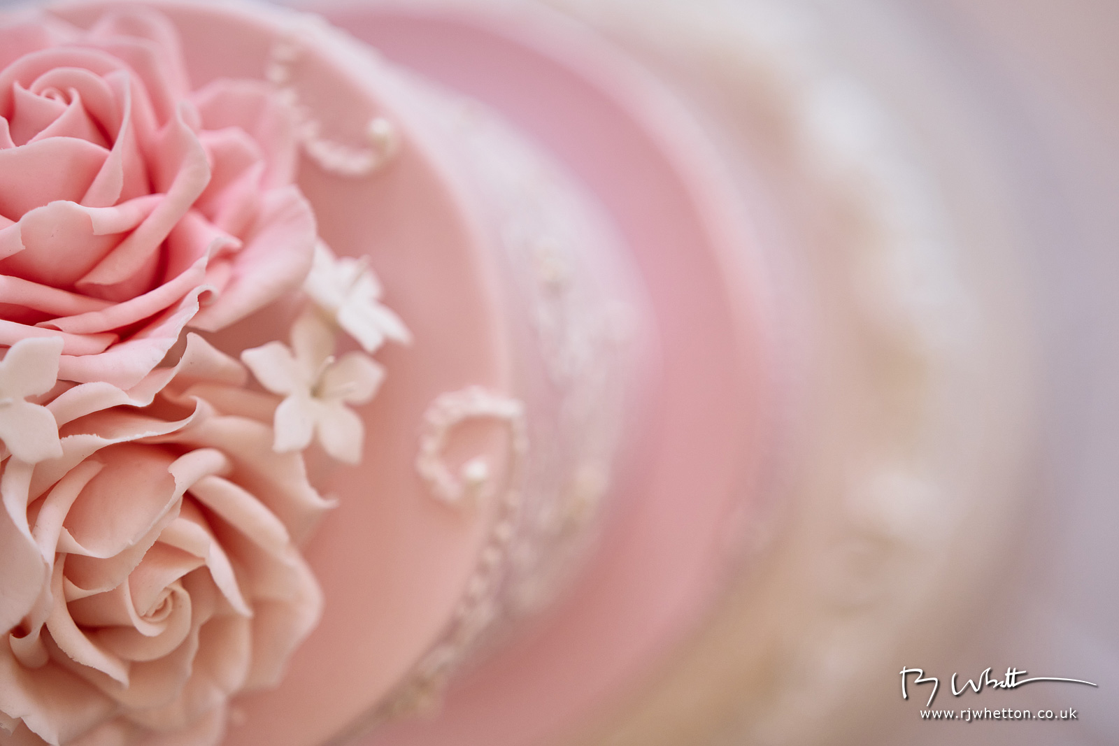 IMAGE: https://photographs.rjwhetton.co.uk/forums/Abbie-Gary-Wedding---2nd-Ant-Jun-11-150438-1896-X-T4.jpg