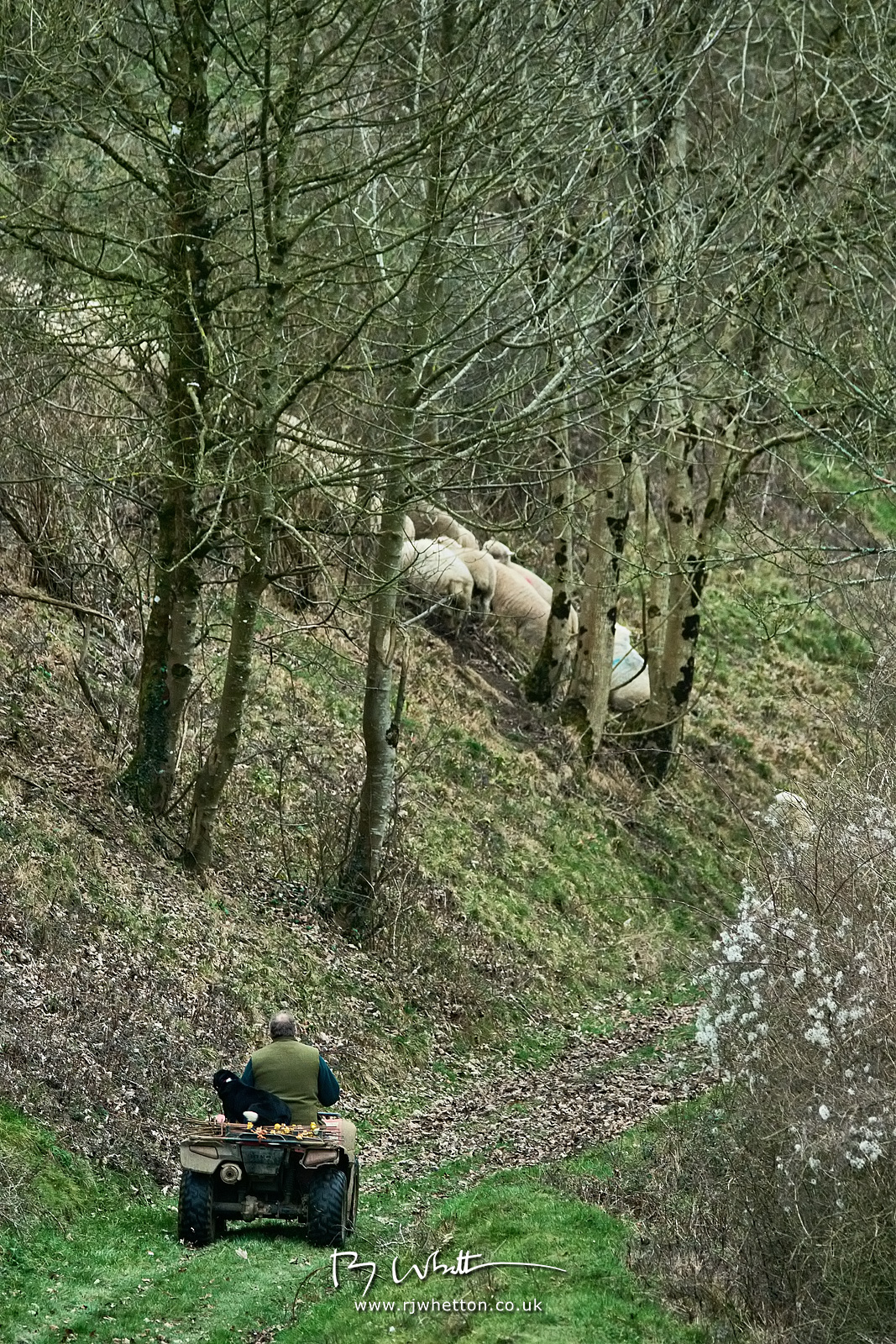 IMAGE: https://photographs.rjwhetton.co.uk/forums/Bulbarrow-Hill-Feb-23-160858-4126-X-H2S.jpg