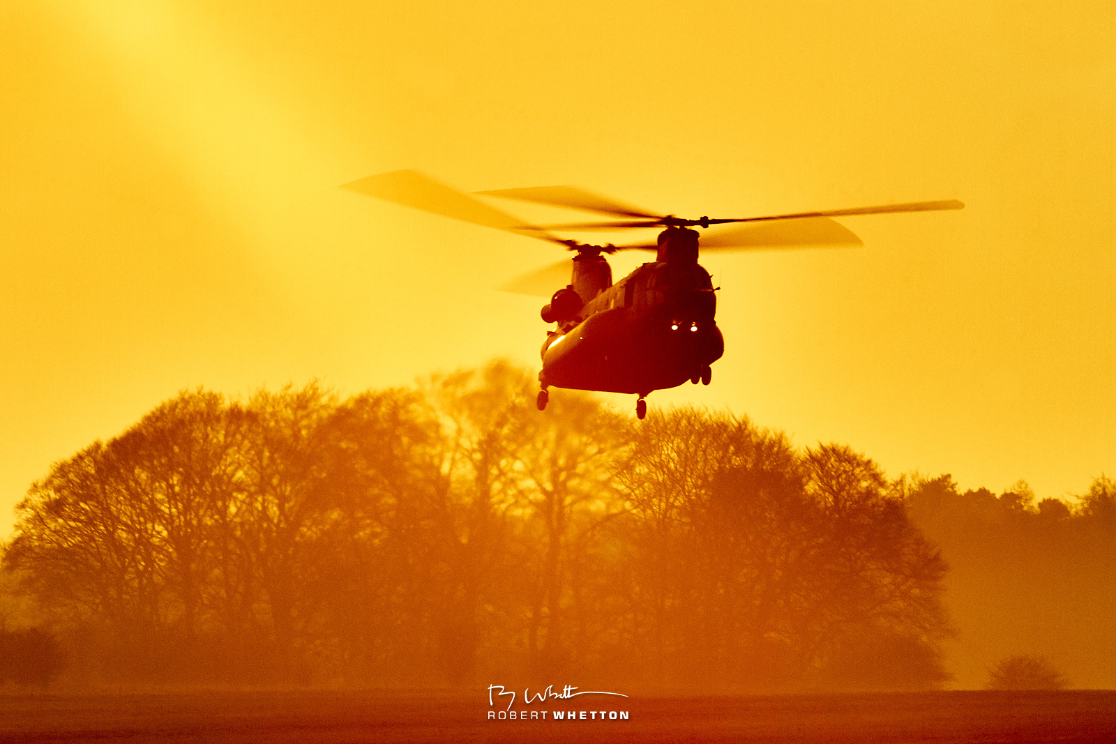 IMAGE: https://photographs.rjwhetton.co.uk/forums/Everleigh-Mar-12-171811-98727D.jpg