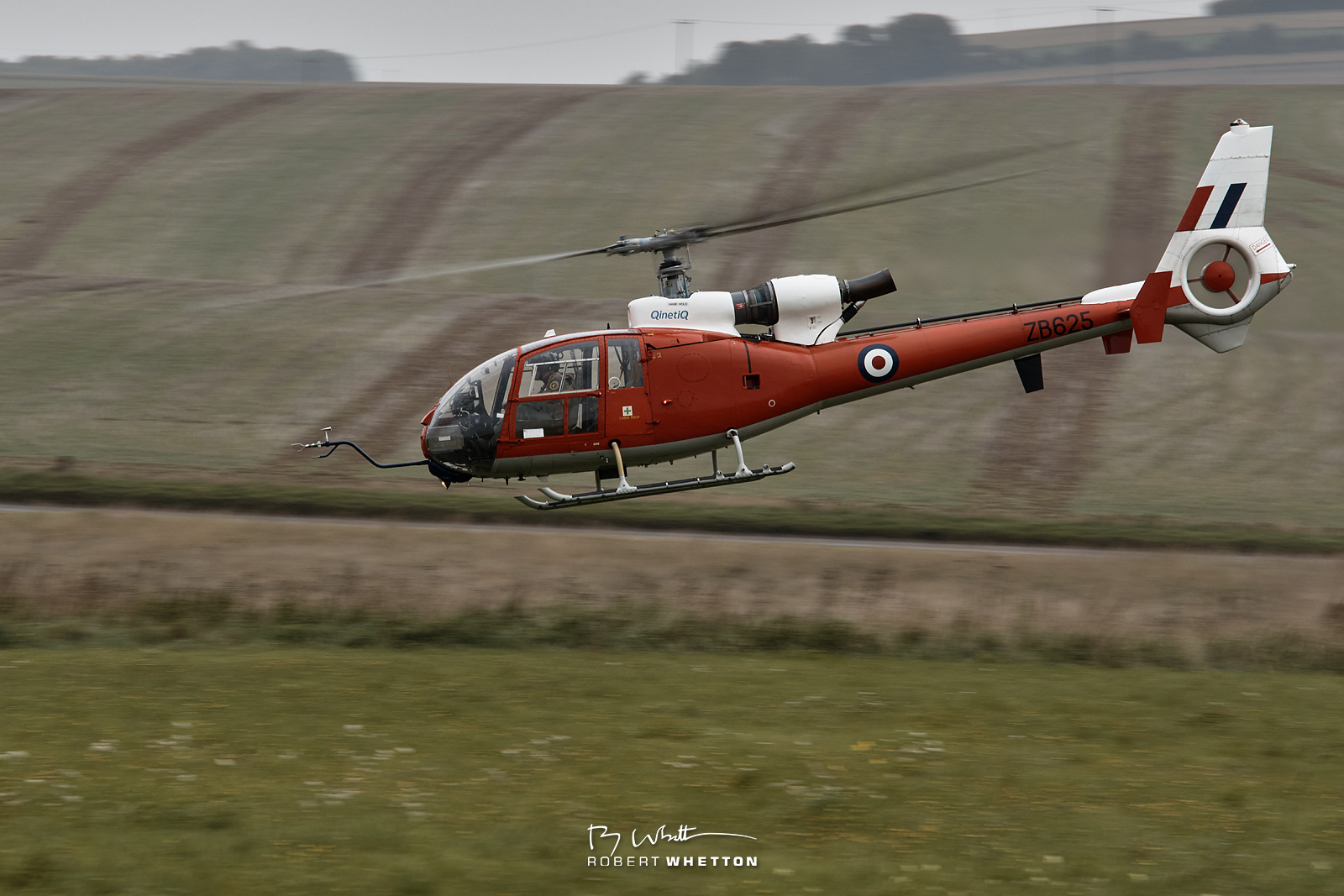 IMAGE: https://photographs.rjwhetton.co.uk/forums/Everliegh-Sep-22-110017-0446-7D.jpg