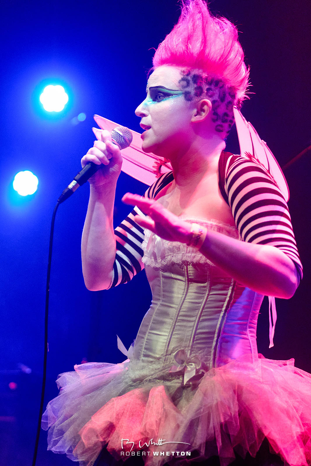 Steam-Punk-Dec-12-230707-13527D.jpg