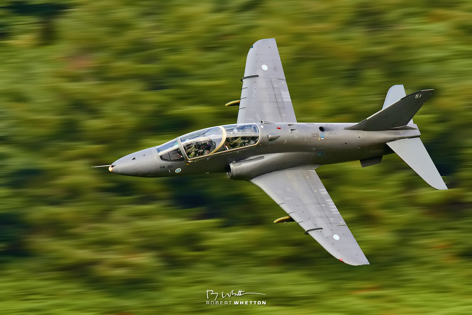 Wales-Bluebells-Sep-05-142200-14287D.jpg