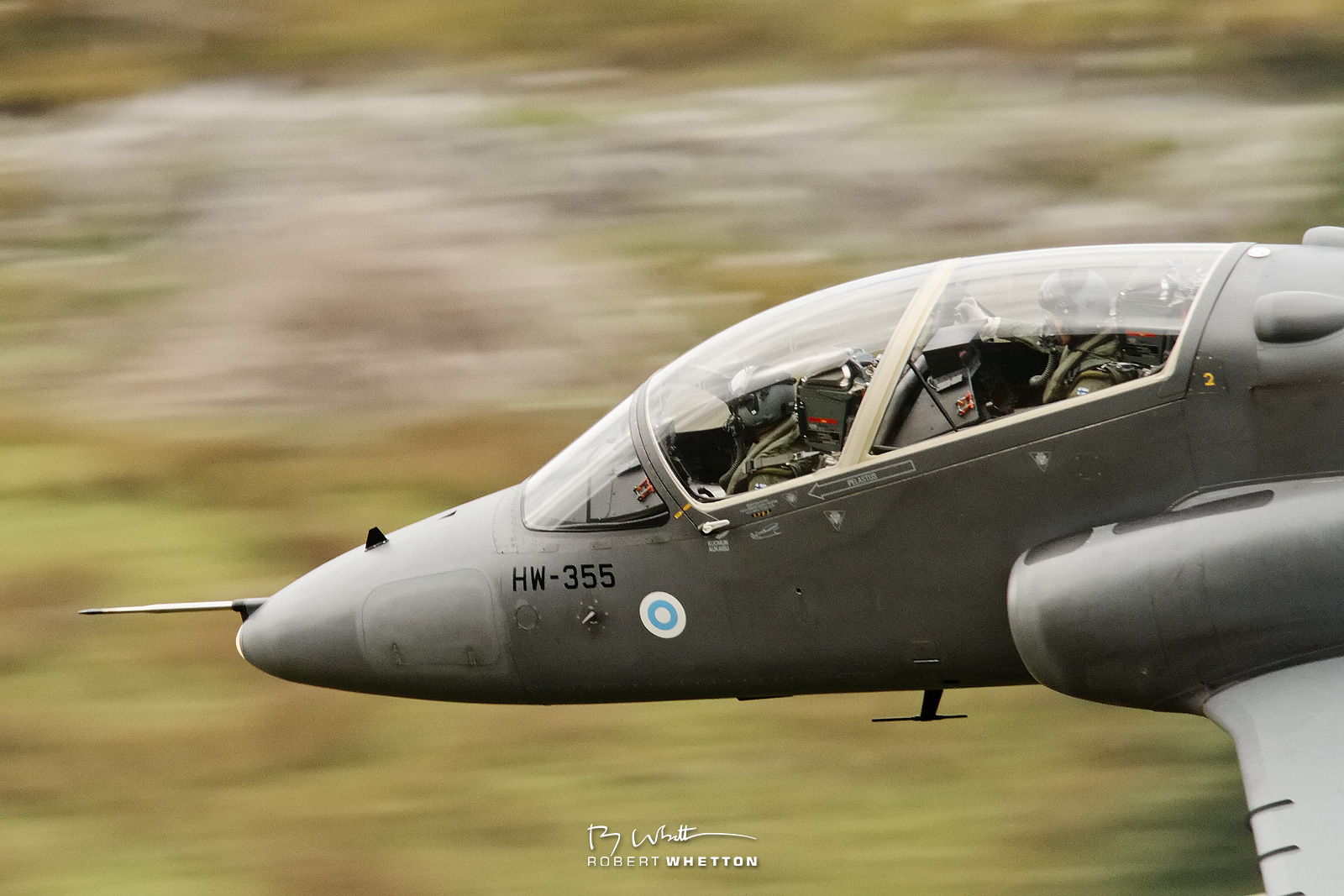 Wales-Bluebells-Sep-05-143023-14587D.jpg