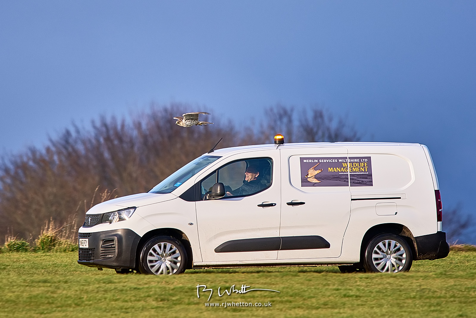 IMAGE: https://photographs.rjwhetton.co.uk/forums/Westlands-Feb-16-161452-7299-X-H2S.jpg