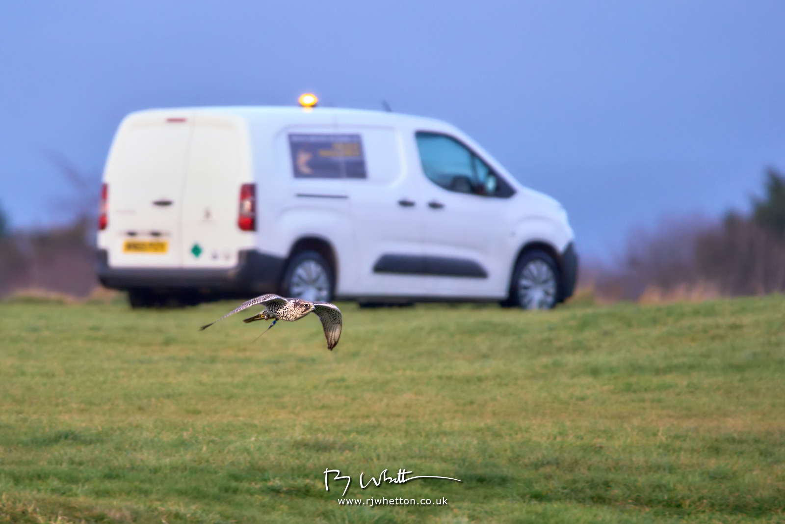 IMAGE: https://photographs.rjwhetton.co.uk/forums/Westlands-Feb-16-162615-7359-X-H2S.jpg